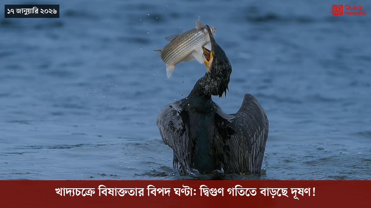 বোমা হামলার ৮০ বছর, পরমাণু যুদ্ধ নিয়ে সতর্ক করলেন নাগাসাকির মেয়র