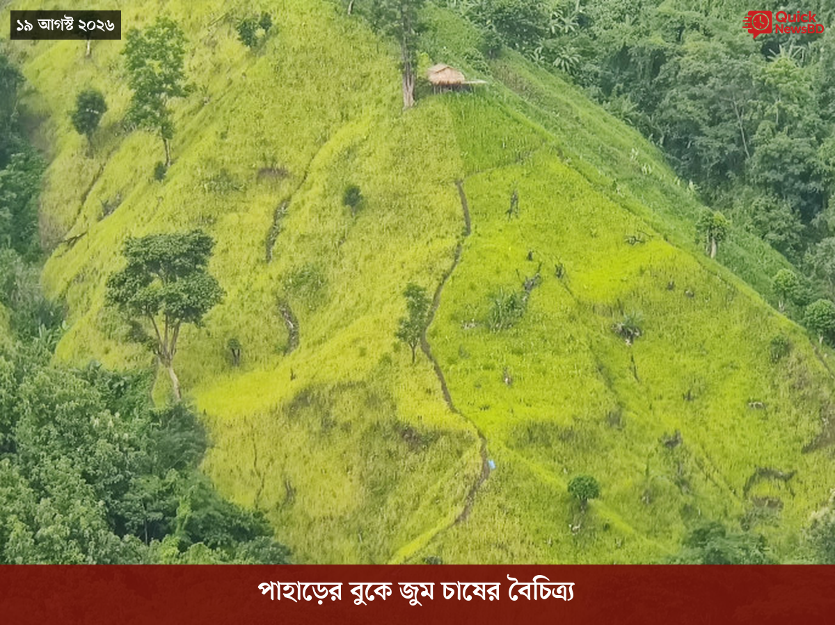 পাহাড়ের বুকে জুম চাষের বৈচিত্র্য
