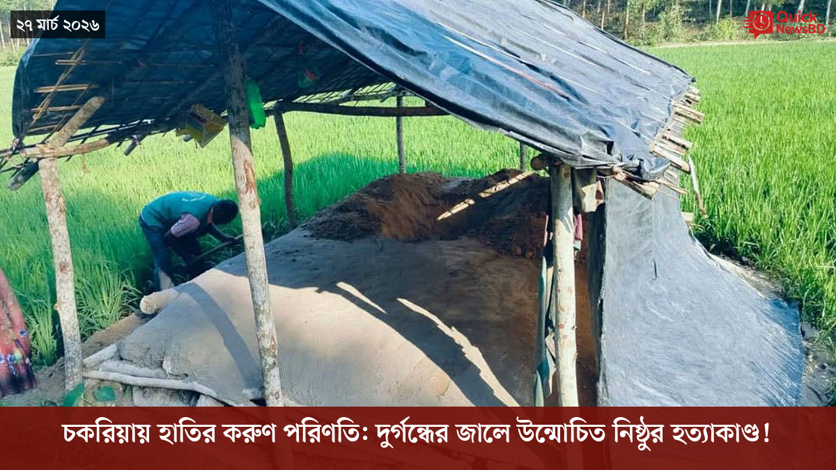 ‘ভালো বন্ধু’ ট্রাম্পকে যেখানে বুঝতে ভুল হয়েছে মোদীর