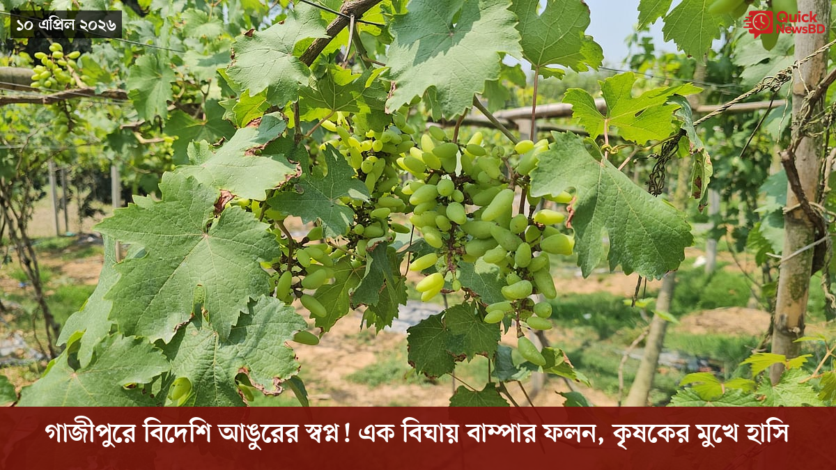 ‘ভালো বন্ধু’ ট্রাম্পকে যেখানে বুঝতে ভুল হয়েছে মোদীর