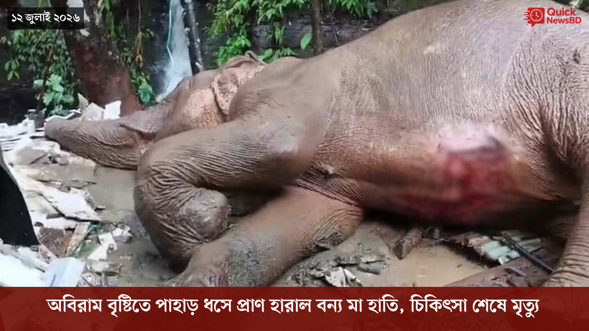 ‘ভালো বন্ধু’ ট্রাম্পকে যেখানে বুঝতে ভুল হয়েছে মোদীর