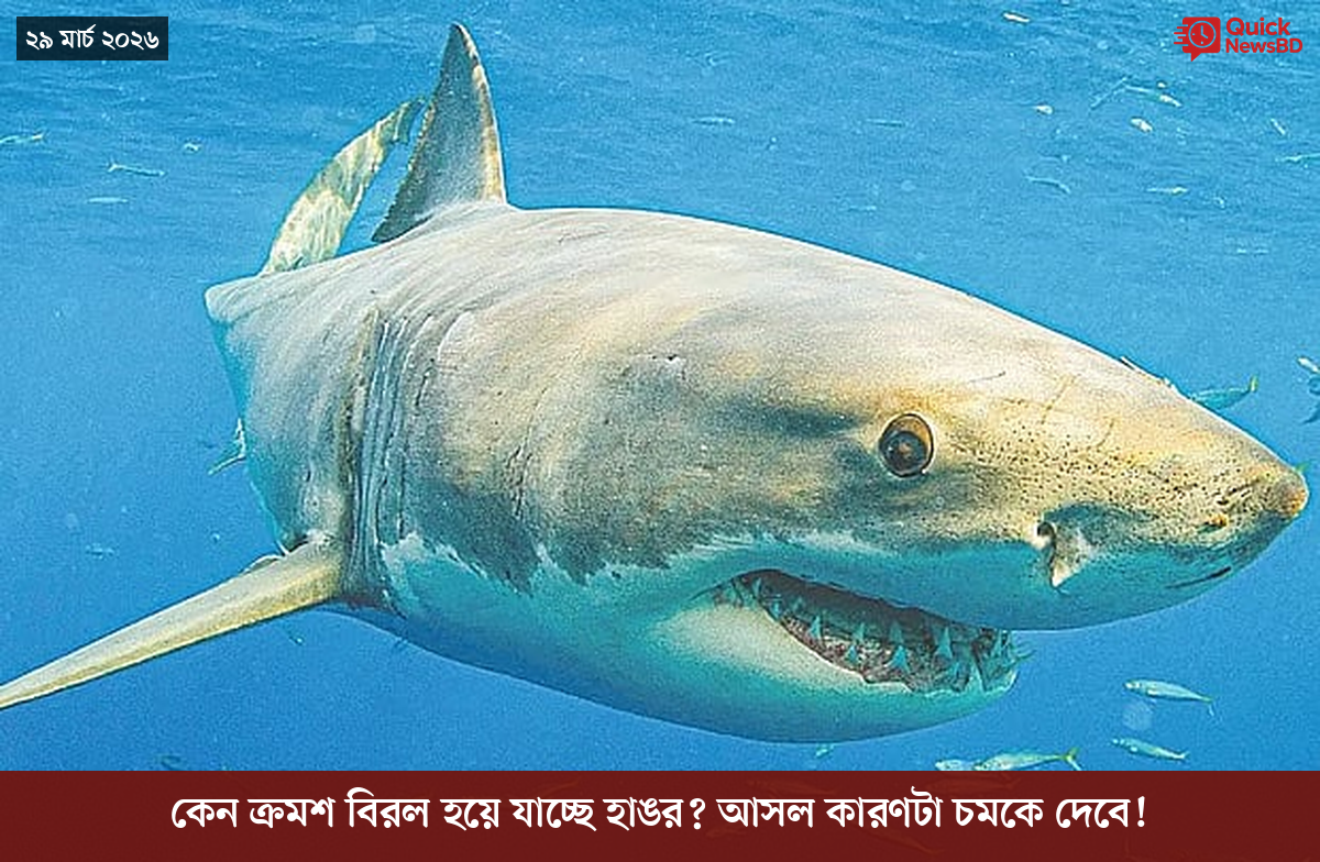 ‘ভালো বন্ধু’ ট্রাম্পকে যেখানে বুঝতে ভুল হয়েছে মোদীর