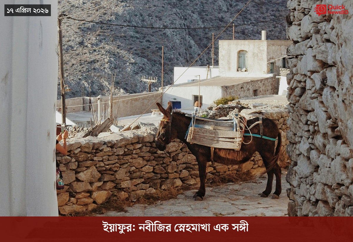 ‘ভারতের সমর্থনপুষ্ট’ আরও ১৪ সন্ত্রাসীকে হত্যার দাবি পাকিস্তান সেনাবাহিনীর