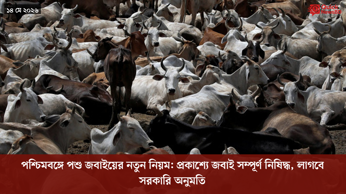 ‘ভালো বন্ধু’ ট্রাম্পকে যেখানে বুঝতে ভুল হয়েছে মোদীর