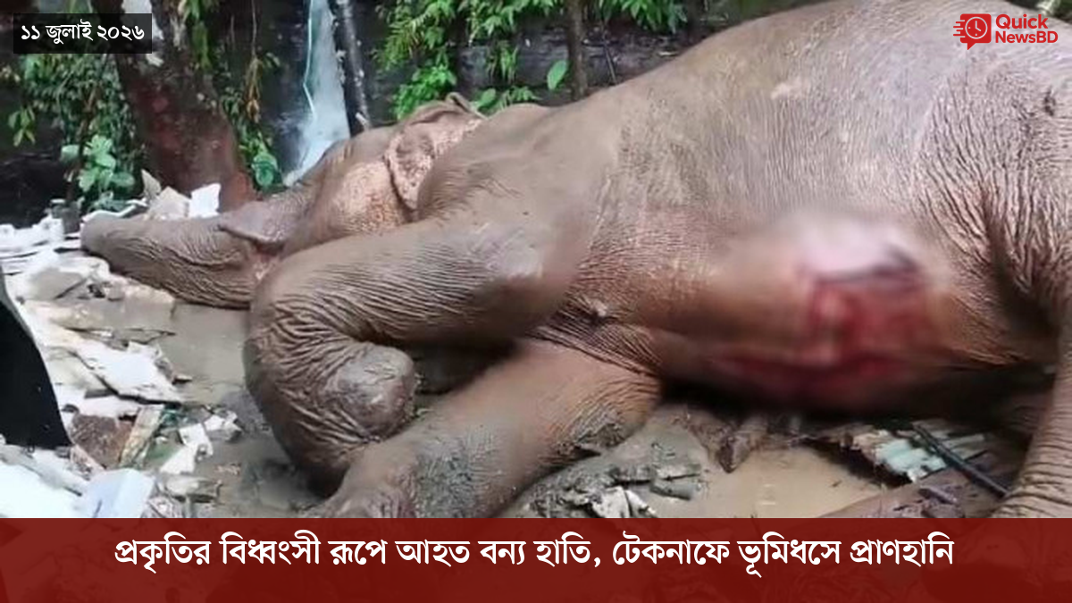 ‘ভালো বন্ধু’ ট্রাম্পকে যেখানে বুঝতে ভুল হয়েছে মোদীর