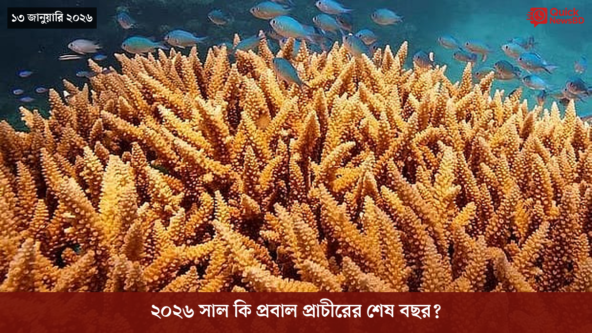 বোমা হামলার ৮০ বছর, পরমাণু যুদ্ধ নিয়ে সতর্ক করলেন নাগাসাকির মেয়র
