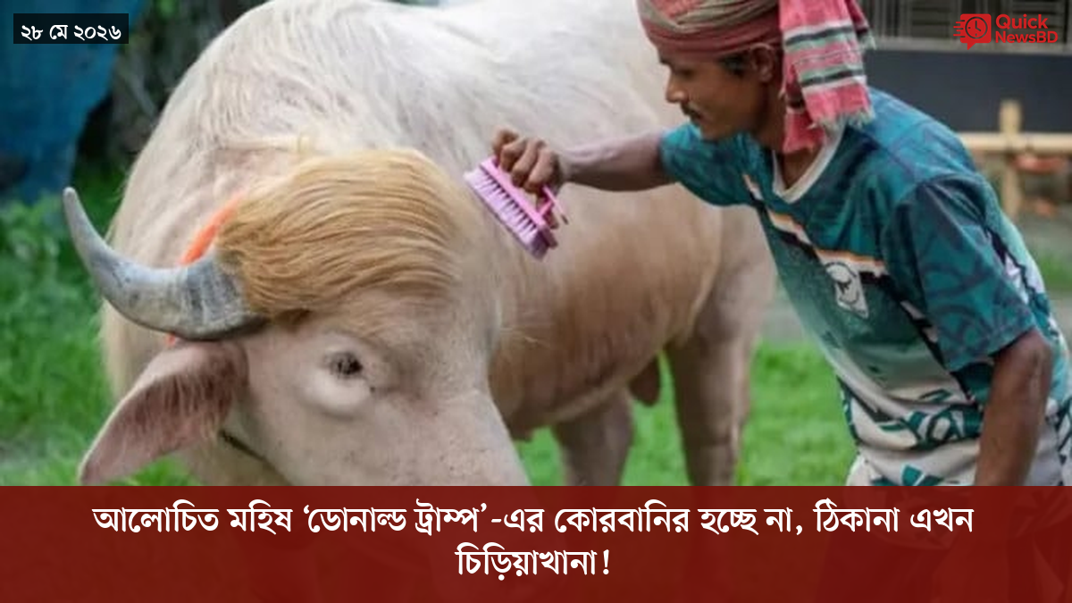 ‘ভালো বন্ধু’ ট্রাম্পকে যেখানে বুঝতে ভুল হয়েছে মোদীর