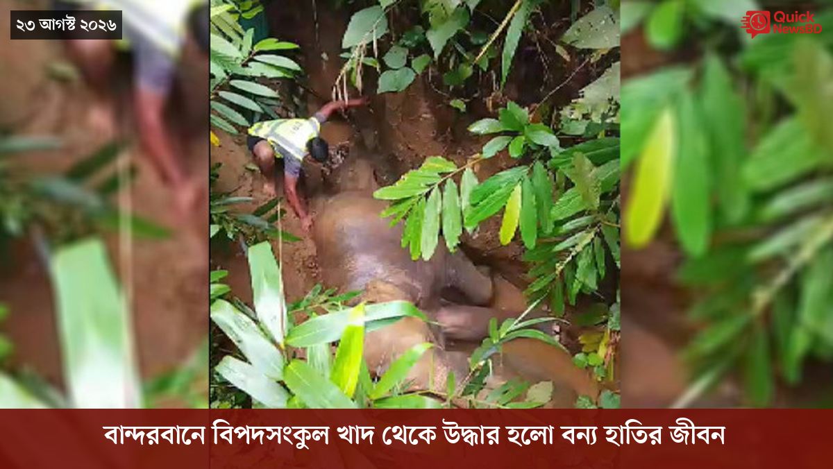 ‘ভালো বন্ধু’ ট্রাম্পকে যেখানে বুঝতে ভুল হয়েছে মোদীর