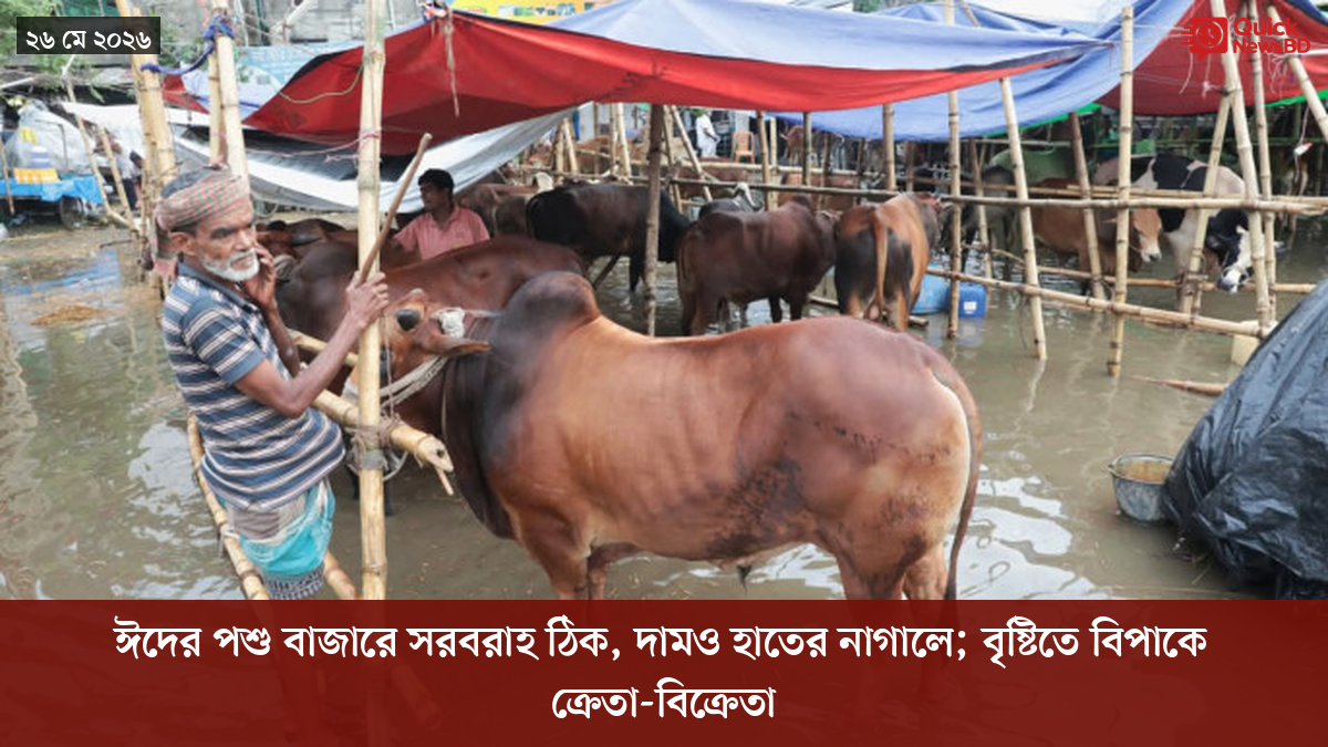 ‘ভালো বন্ধু’ ট্রাম্পকে যেখানে বুঝতে ভুল হয়েছে মোদীর