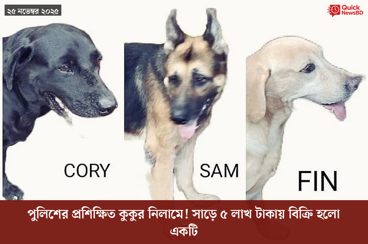 বোমা হামলার ৮০ বছর, পরমাণু যুদ্ধ নিয়ে সতর্ক করলেন নাগাসাকির মেয়র