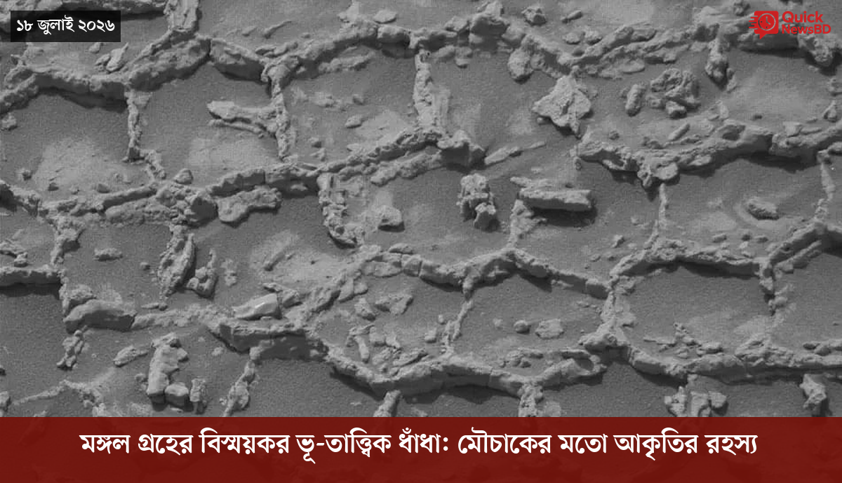 মঙ্গল গ্রহের বিস্ময়কর ভূ-তাত্ত্বিক ধাঁধা: মৌচাকের মতো আকৃতির রহস্য